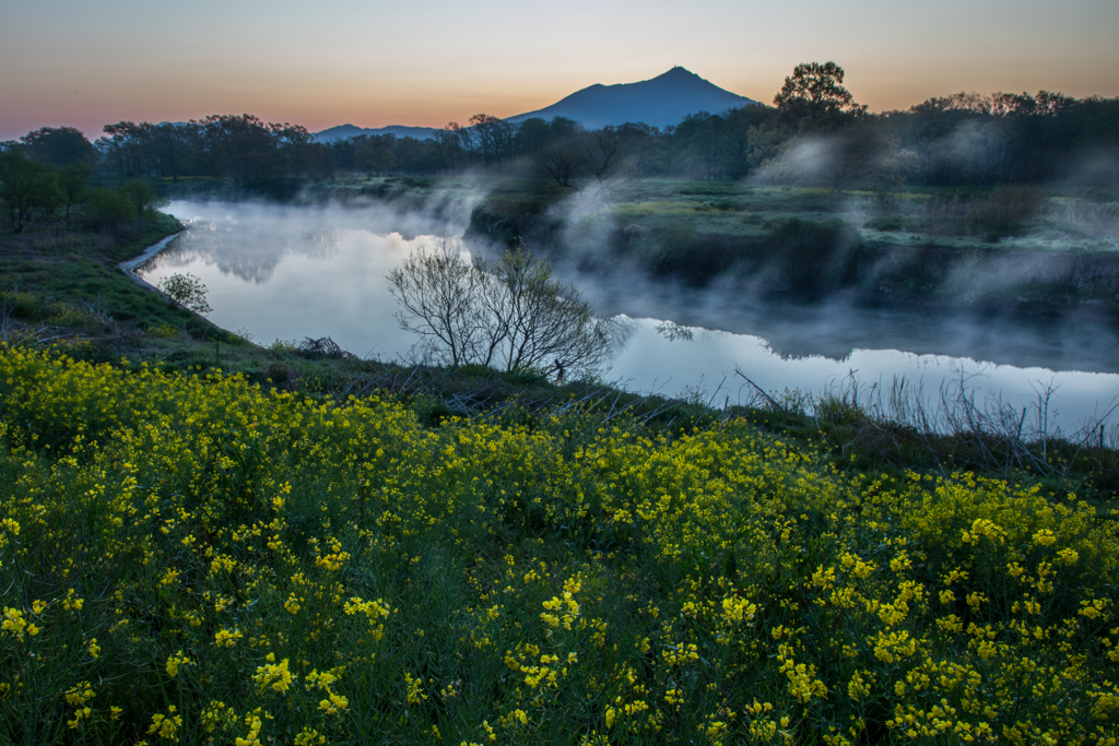 春の小川