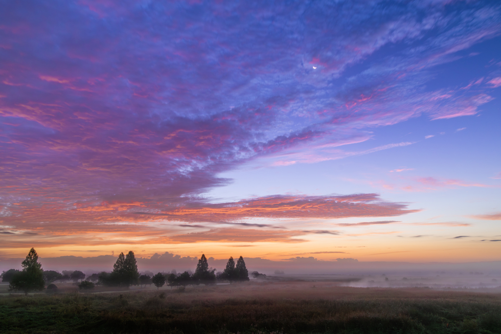 夜明けのコンチェルト