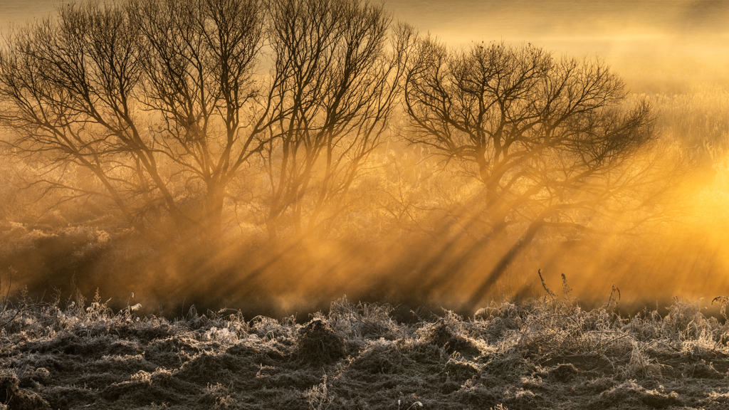光のブリザード