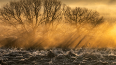 光のブリザード