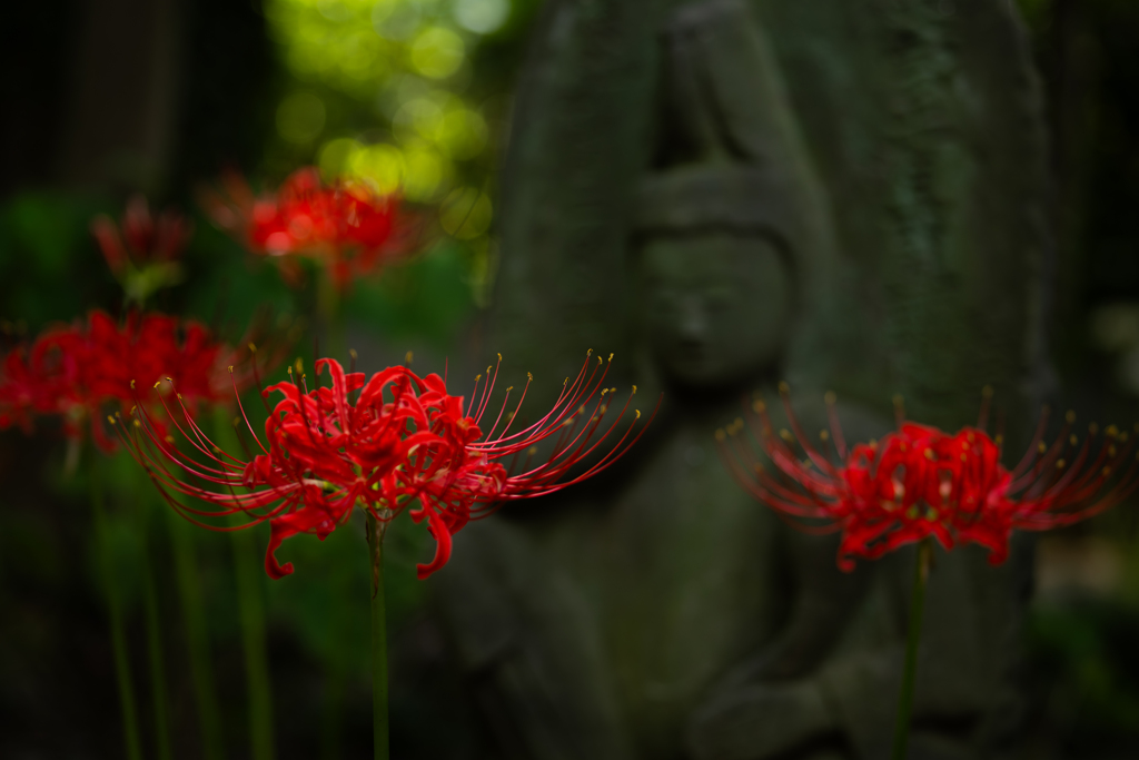 野佛と曼珠沙華