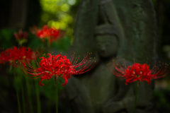 野佛と曼珠沙華