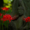 野佛と曼珠沙華