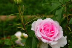 DSC00073