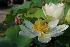 DSC00191