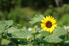 DSC00228