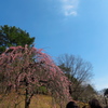 大倉山公園