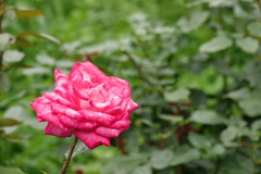 DSC00084