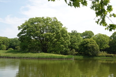 DSC00049