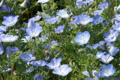 DSC00042