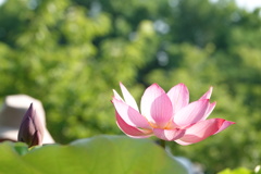 DSC00200