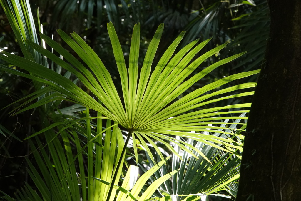 DSC00045