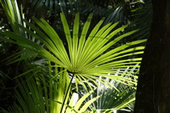 DSC00045