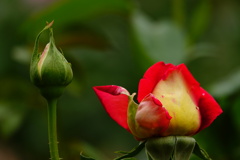 DSC00089