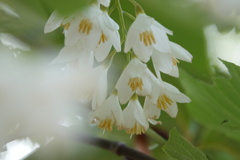 DSC00038