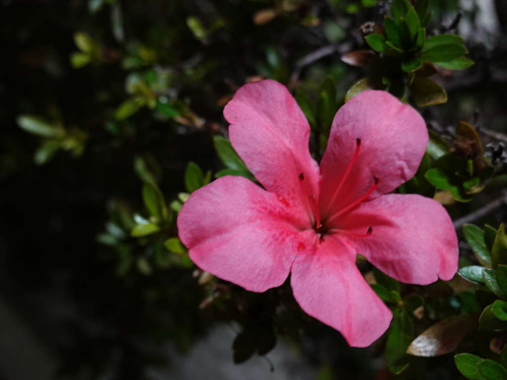 DSC00087