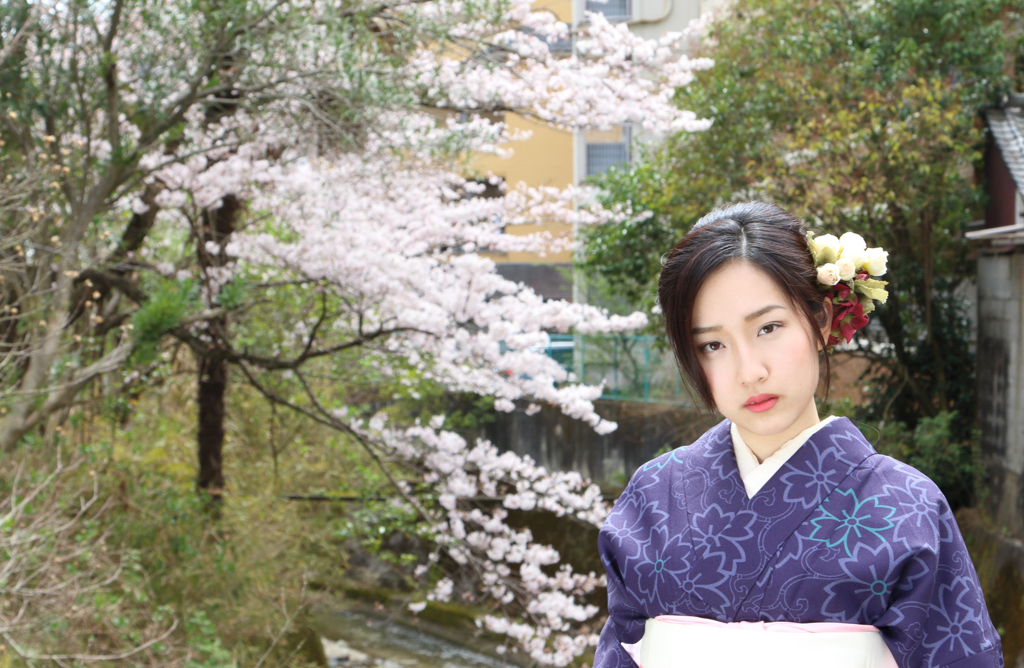 桜日和