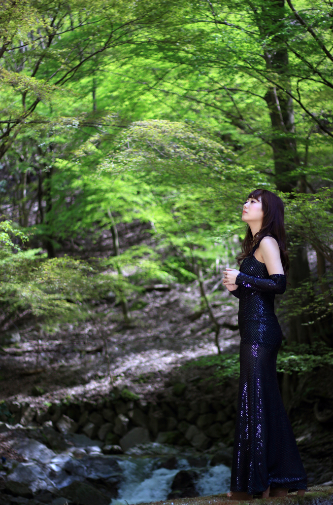 forest