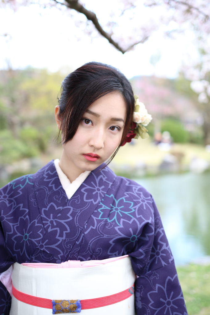 桜日和