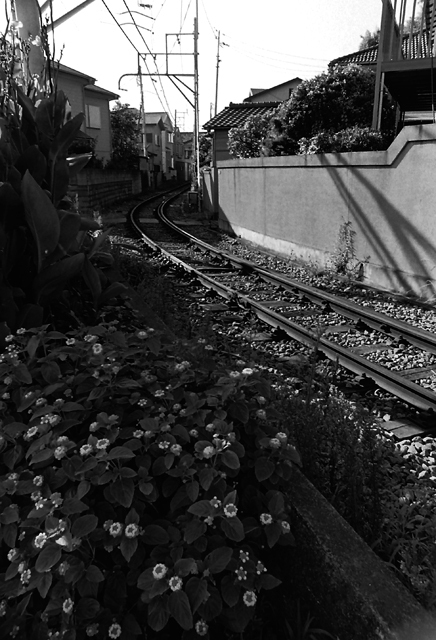 fbbb122edfc8a7c52264fd5701007295_m