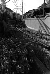 fbbb122edfc8a7c52264fd5701007295_m