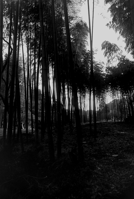 21517fa2f2ffeac92c646c65936afa84_m