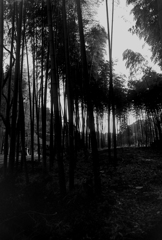 21517fa2f2ffeac92c646c65936afa84_m