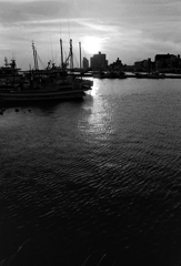 f17e03d336998f1cf7bc225d0d6f4541_m