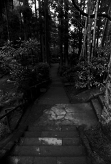 05c0b97fbbe4f44fcc27d7e9a91220fd_m