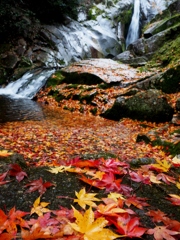 渓流と紅葉