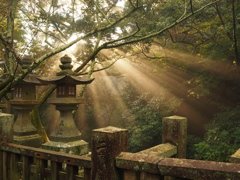 早起きのご褒美
