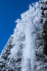 雪ずり