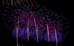 佐倉花火フェスタ2018