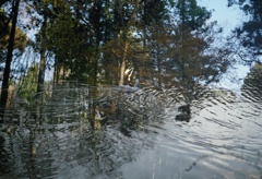泉自然公園