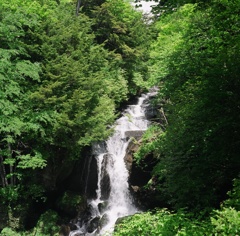 日光
