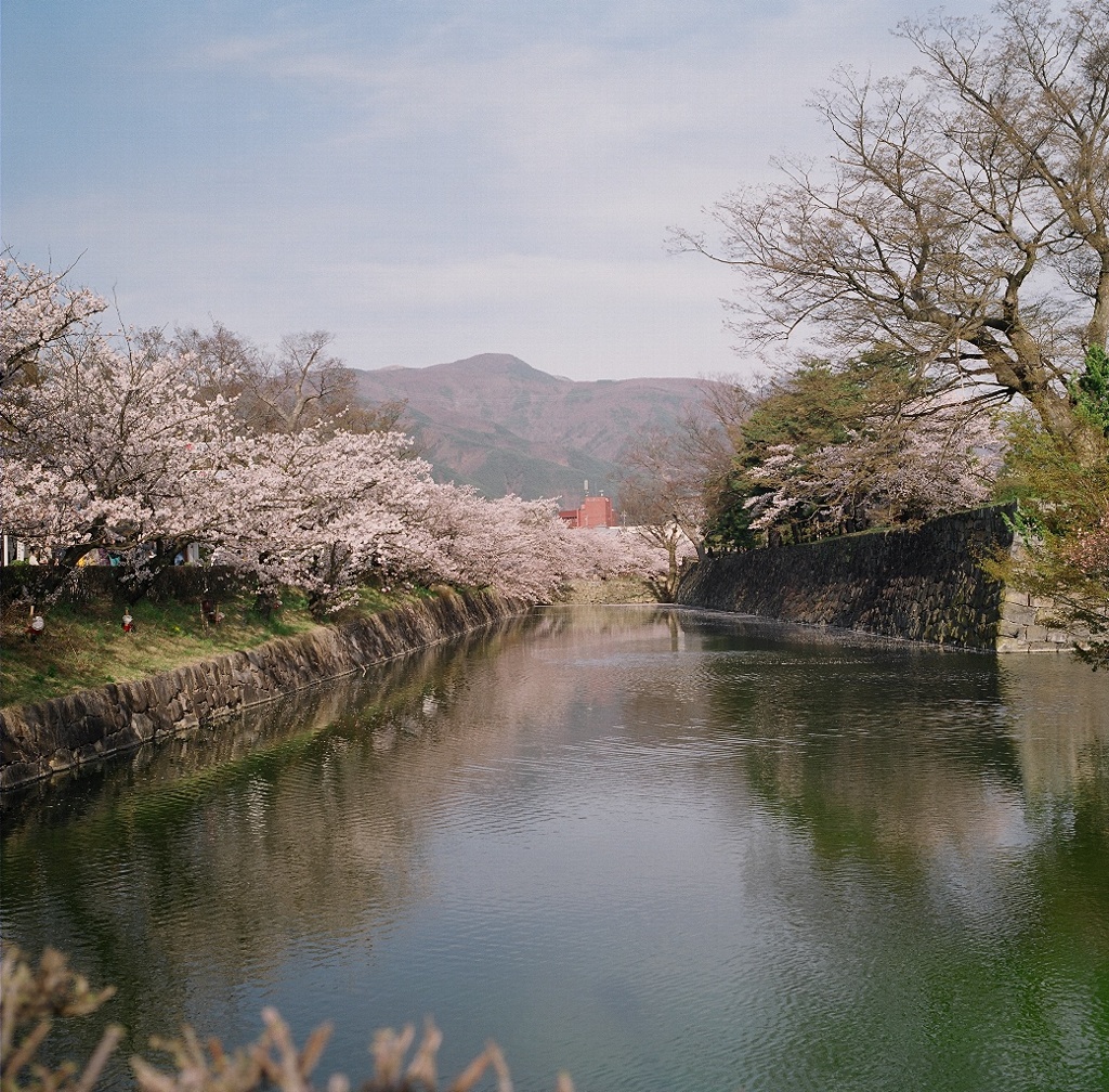 松本城