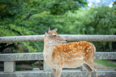 誰を待ってるの？