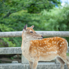 誰を待ってるの？