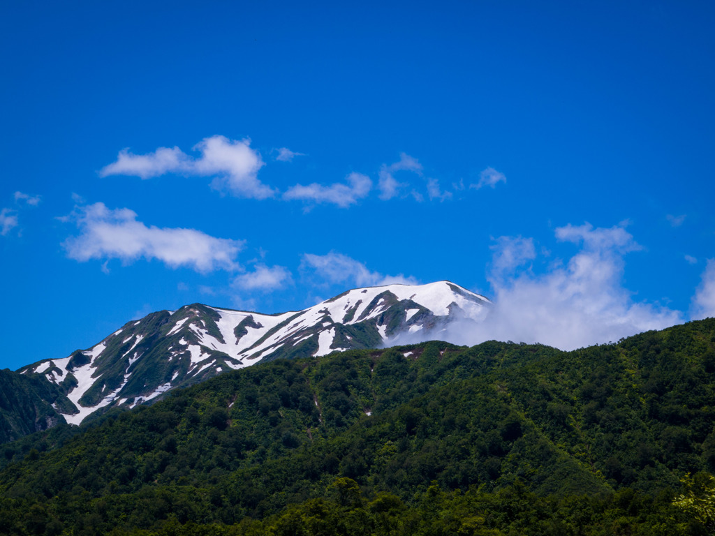 枝折峠からの駒ヶ岳。… だと思われます。(笑)