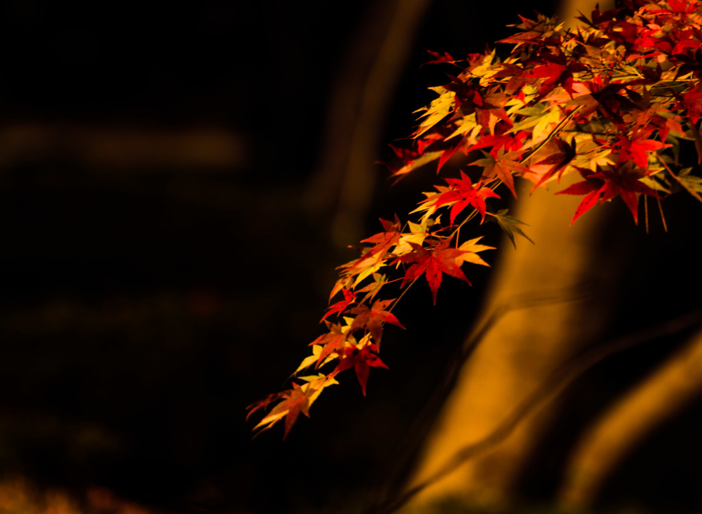 松雲山荘⑥