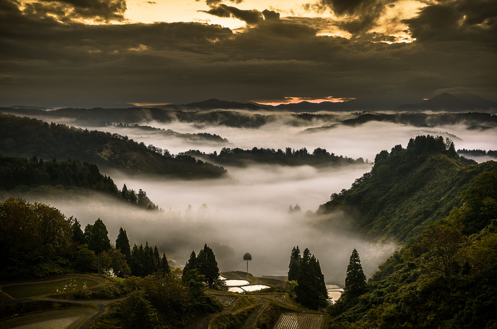 雲海