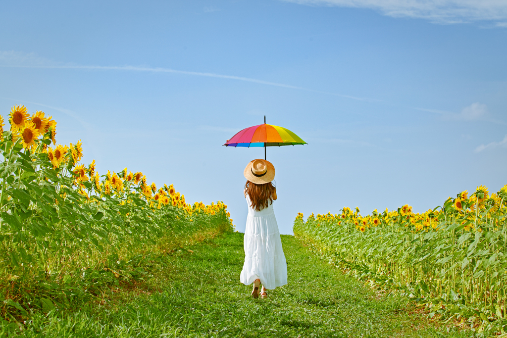 夏空と向日葵と虹色傘