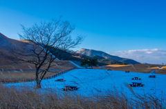 高原の朝。
