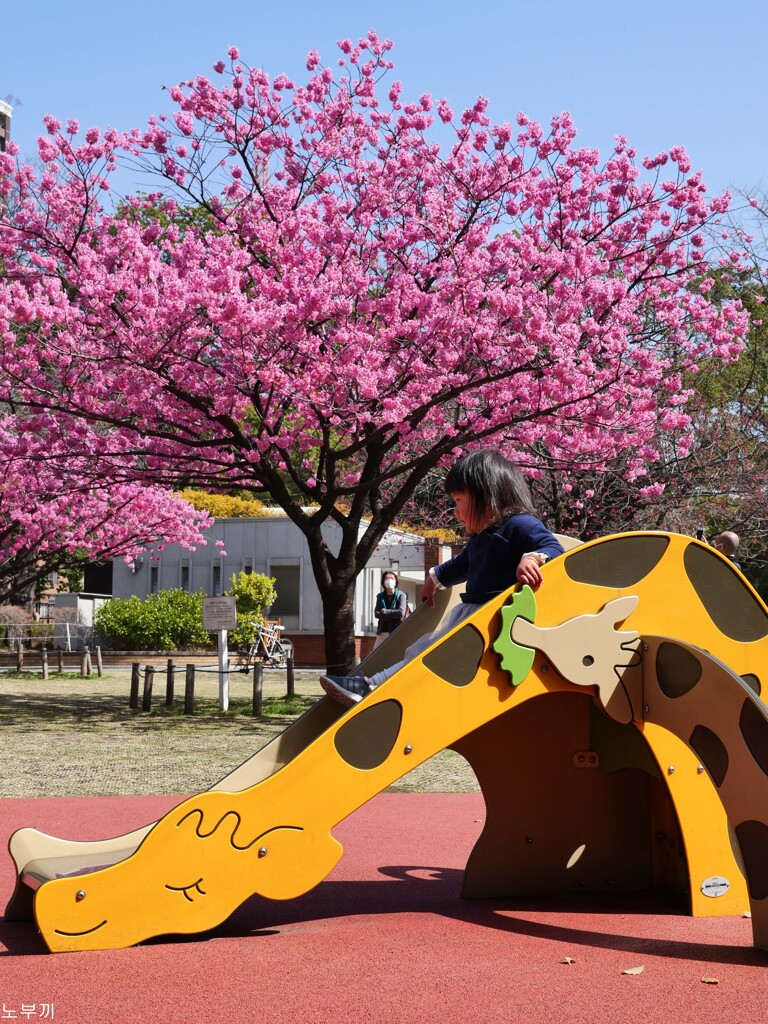 ぽかぽかの春