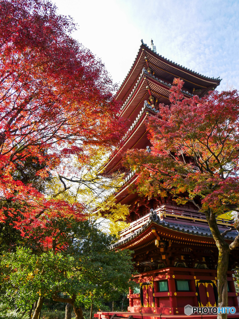 寛永寺-上野-1