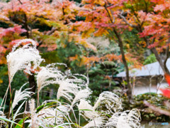 円覚寺 鎌倉-4