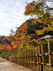 北鎌倉 円覚寺-3