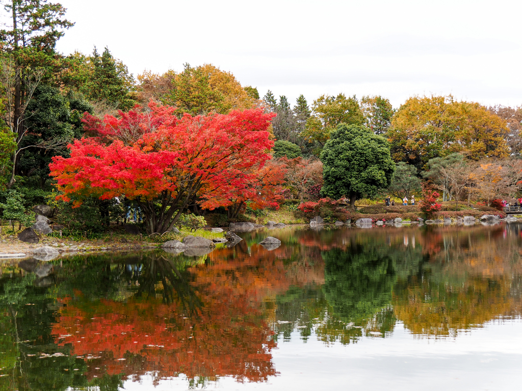 昭和記念公園-1