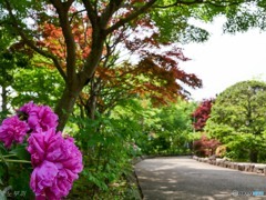 花木園に憩う