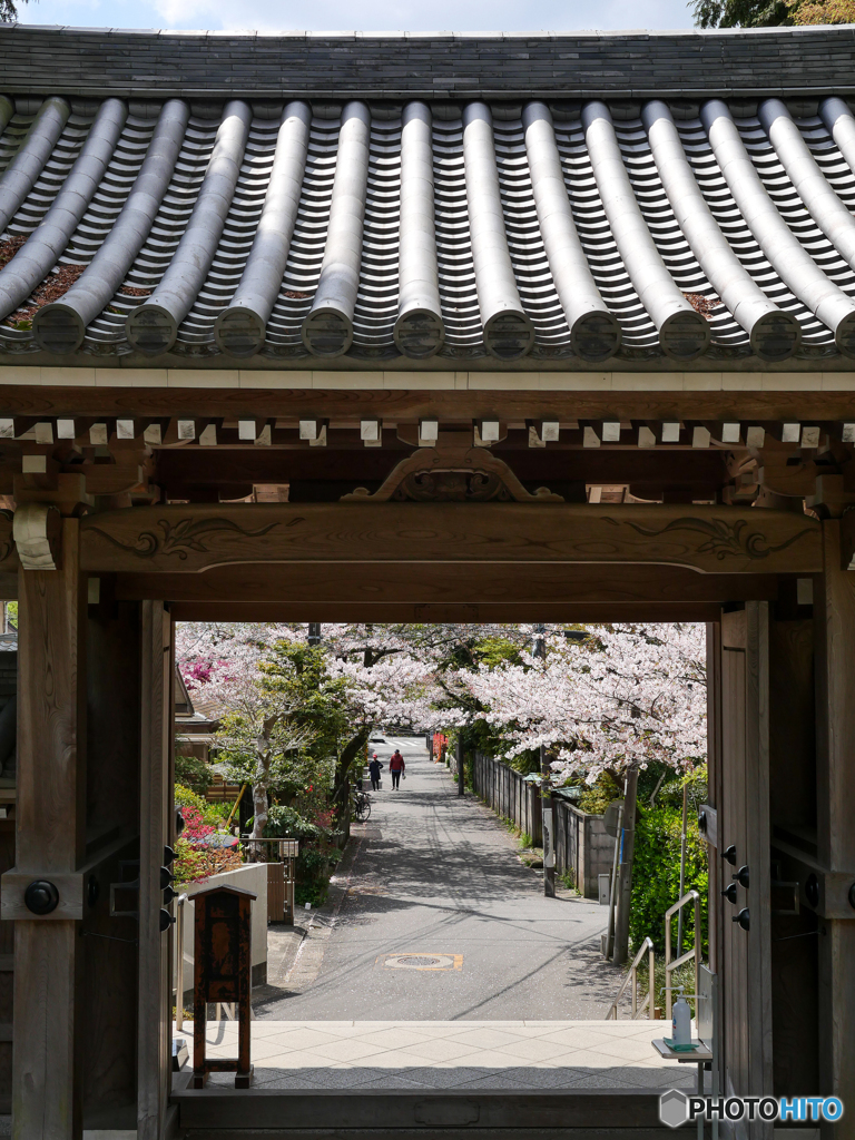 4月3日 浄妙寺